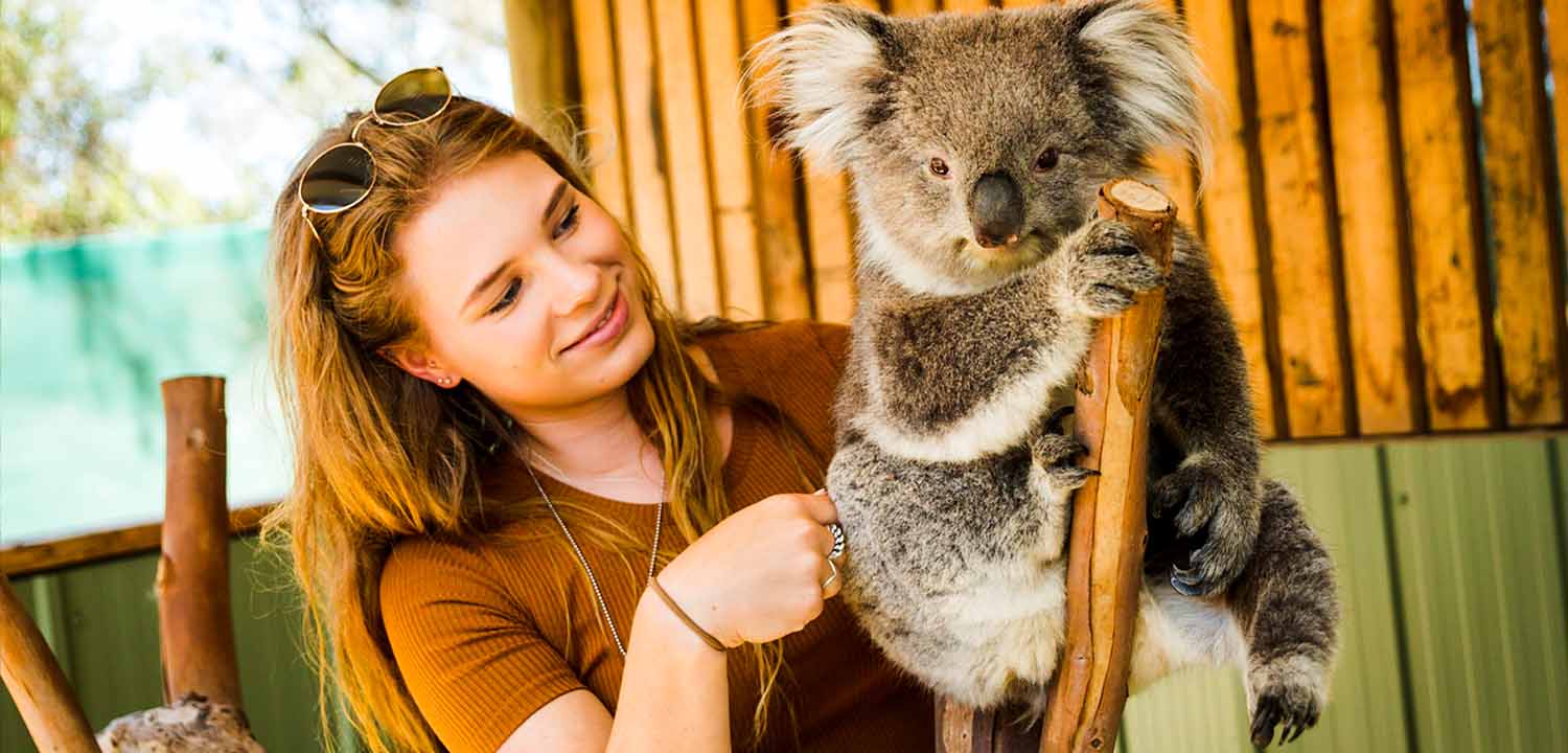 Moonlit Sanctuary - The best place to see Aussie animals!