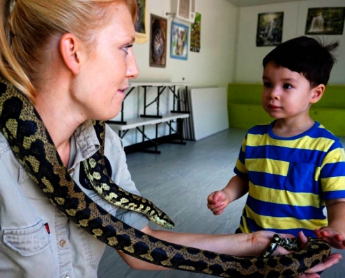Keeper shows young boy carpet python at Moonlit Sanctuary Wildlife Conservation Park