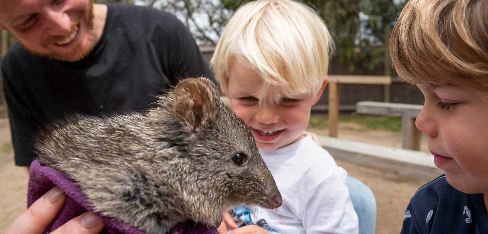 Young boy and his father smiling at a potoroo at Moonlit Sanctuary