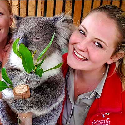 Keeper at Moonlit Sanctuary cuddling up a koala
