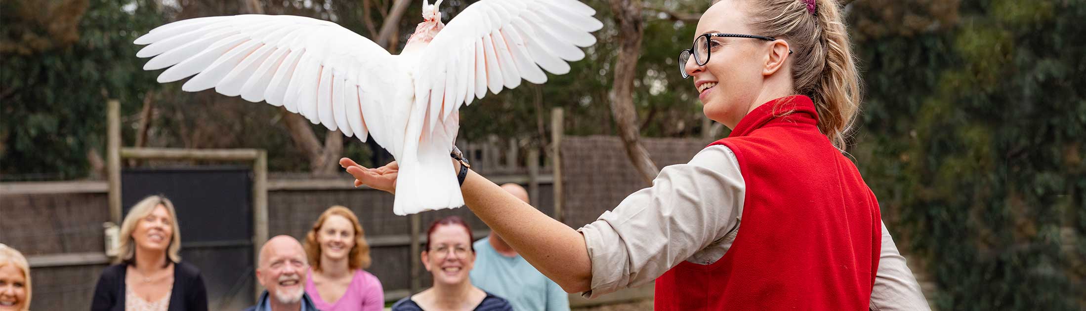 Moonlit Sanctuary Keeper showing visitors a Pink Cockatoo in the Conservation in Action Show.