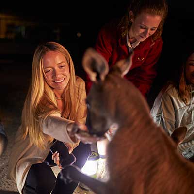 Blonde woman feeding a kangaroo on Moonlit Sanctuary's night tour