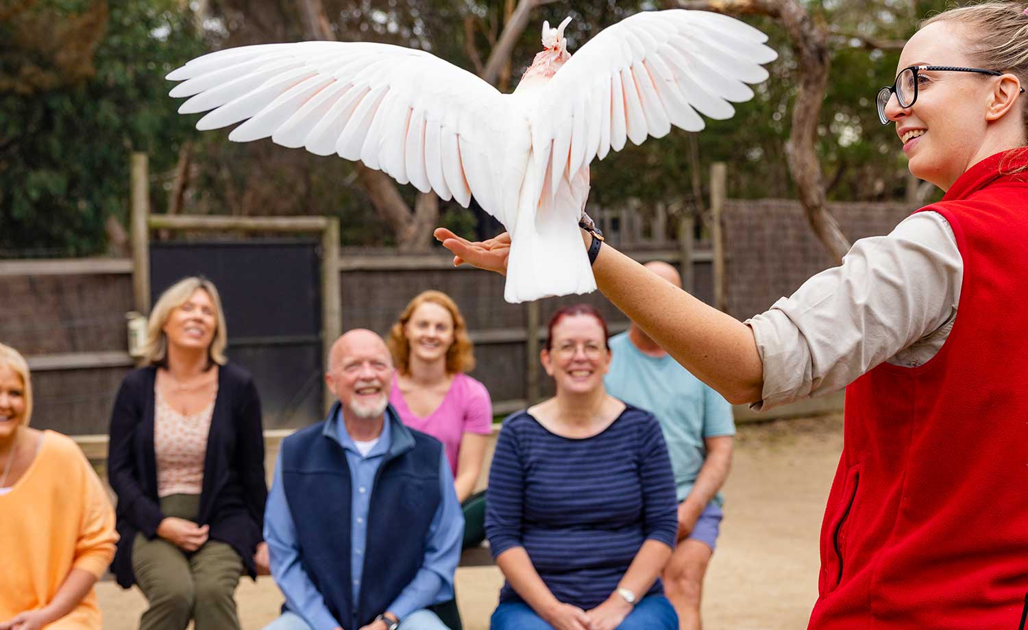 A group of people are seated as they watch a Moonlit Sanctuary Keeper display a Pink Cockatoo