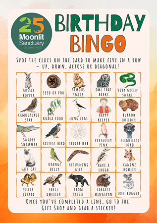 Birthday Bingo card with 25 clues to find around the park