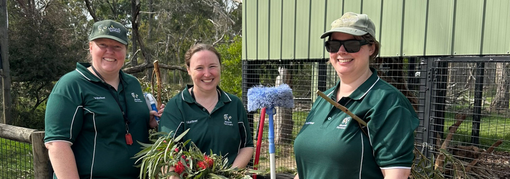 Three women are standing in front of an animal enclosure wearing green caps and polo shirts that say "volunteer" while holding tools including scrubbing brushes and some leafy browse with red flowers.