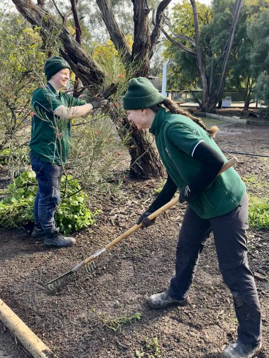 Two people wearing green beanies and polo shirts are working in a native garden space. One is pruning a tree and the other is raking.
